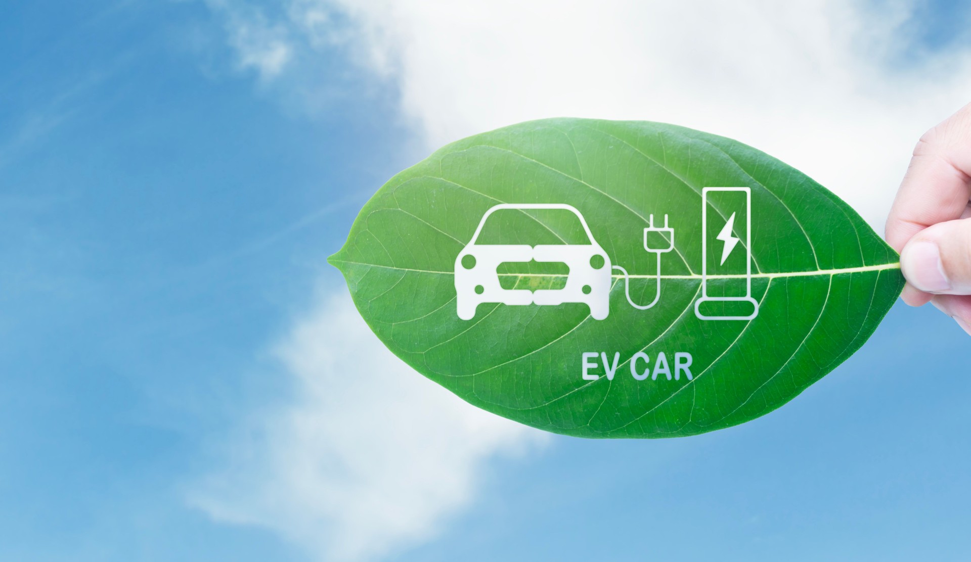 ECO Car clean energy alternative future concept. Hand holding green leaf with EV electric vehicle, renewable energy carbon reduction, Ecology environment en